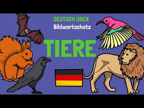 🦜 Tiere Wortschatz | Animals in German | A1-A2 | Deutsch lernen | Learn German