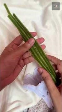 DIY Pipe Cleaner Flower Tutorial 🌸 | Easy Handmade Flower Craft for Beginners