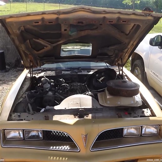 32K views · 264 reactions | Barn Find: Will This Firebird Run After 30 Years? | Rebuild Rescue | Facebook