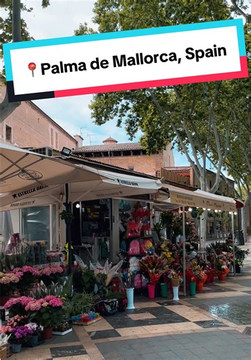 Exploring Palma de Mallorca: A Soulful Walk