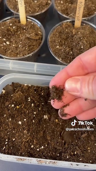 Discover the perfect plant for preschoolers to grow! In this video, I share why I've switched from attempting to grow flowers to planting grass with my students. Grass grows quickly, offering immediate results and endless fun. We decorate cups with faces, and as the grass sprouts, it becomes