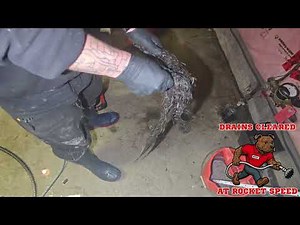 Basement Flooded With 2 Inches of Water — Drain Packed With Roots