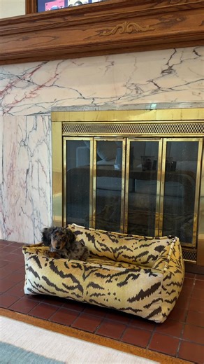 Princes palace!!!🤎🤎🤎🤎 @Ruggable | scalamandre dog bed