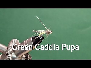 Green Caddis Pupa - One Fly A Day