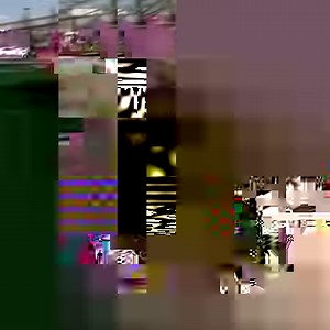 135K views · 1.5K reactions | This dog is delivering wine to humans while they distance from each other | NowThis | Facebook