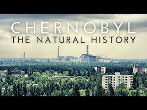 The Natural History of Chernobyl