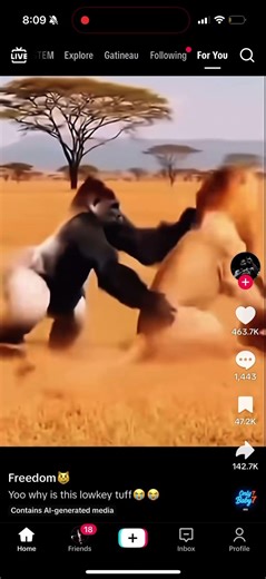 HILARIOUS Moments Caught On Camera