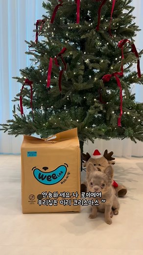 1.4K views · 90 reactions | @weelab__ 히릿 배변패드 이제 위랩(WEELAB) 으로 만나요懶...