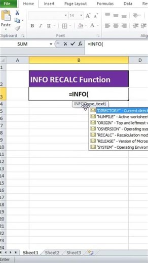 INFO Function in Excel (RECALC) | Check Excel Recalculation Mode
