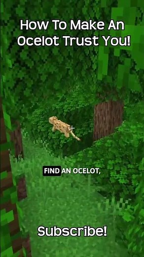 How To Stop An Ocelot From Running Away In Minecraft?!