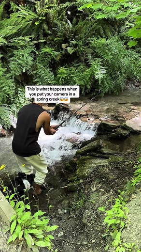 Connor Paton on TikTok