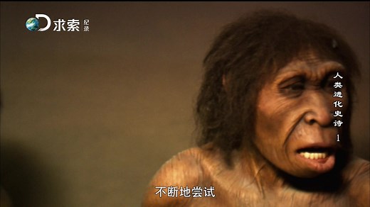 法国纪录片《人类进化史诗 L' Odyssée de l'espèce》