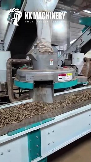 Wood Pellet Machine Plant | Complete Biomass Wood Pellet Production Line #pelletmachine #pelletmill