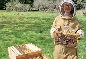 World Bee Day: Imperial bee scientists share their research | Imperial News | Imperial College London