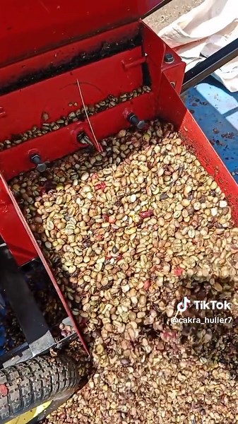 Huller Kopi Basah dan Kulit Produk CAKRA Pagar Alam