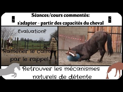 Cours commentés : s'adapter... et aider le cheval à retrouver ses mécanismes naturels de détente