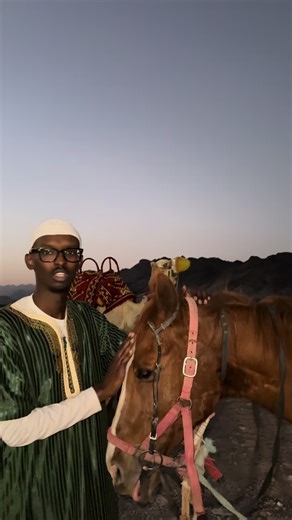 Tying Your Camel: Wisdom in Bitcoin and TikTok