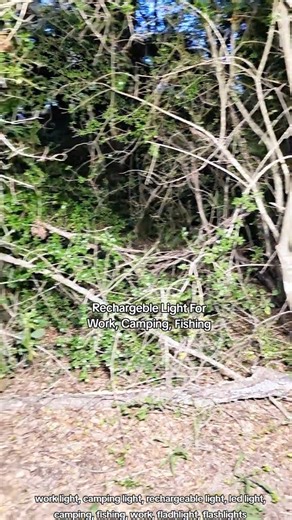 Rechargeable Light For Work Fishing And Camping @Partphoner local #light #flashlight #worklight #rec | Aeykkbdam3716