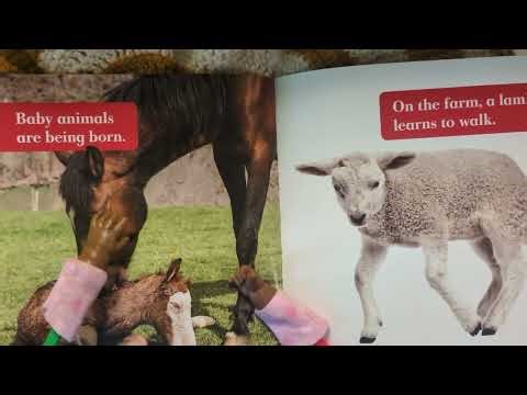 🌸 Animals in Spring | Gentle Read Aloud with Beginning Sound Practice for Kids 🐿️📖