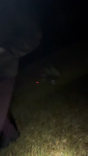 The camera man never does #fireworks #ants | lvluptitan