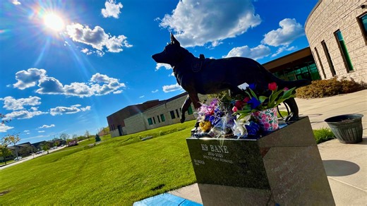 From a wheelchair to wings: St. Francis' K9 Bane has died after battling nerve disorder