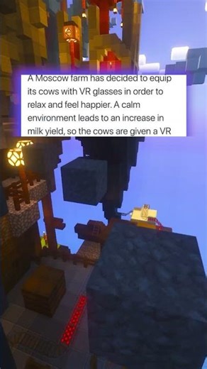 putting vr glasses on a cow 😎