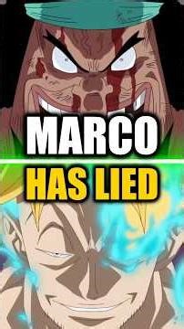 MARCO LIED TO WHITEBEARD AND IS...😱 | ONE PIECE THEORY #onepiece #anime #manga