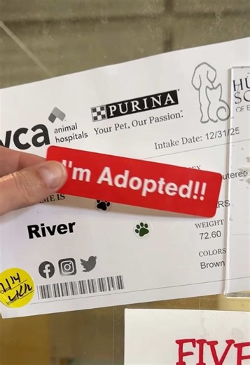 River Finds His Forever Home!