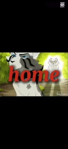 lovely ivypool and dovewing edit recmonded #warriorcats #cats #warriors #edit #ivypool #dovewing #me