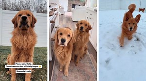 280K views · 30K reactions | The Snow if Finally Here! | Tucker Budzyn | Facebook