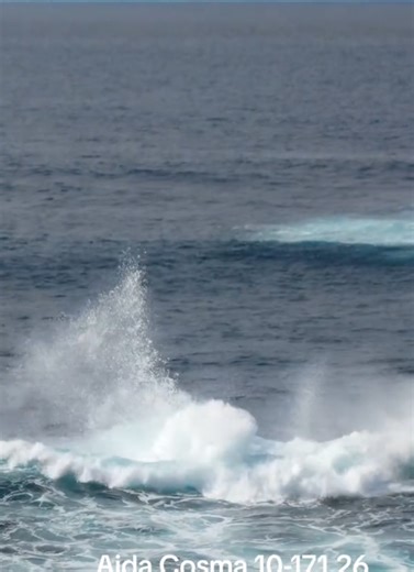 Exploring Aida Cosma: Discovering the Canary Islands