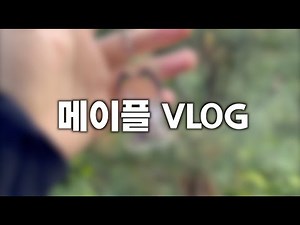 Maple Vlog - Climbing Mt. Whale