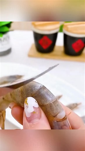 Explore Daily Life Essentials for a Better Routine