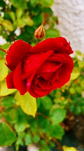 Model Minh Trí on Reels