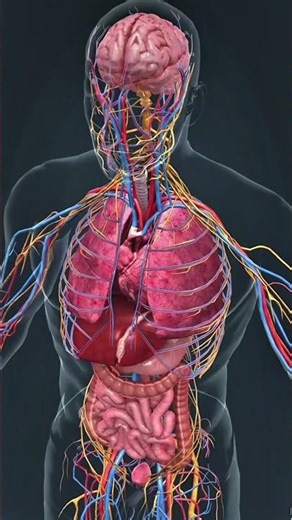 Don’t Ever Touch This Octopus 😱 #luckygameplay #exe #lifeisbutadream #yosho