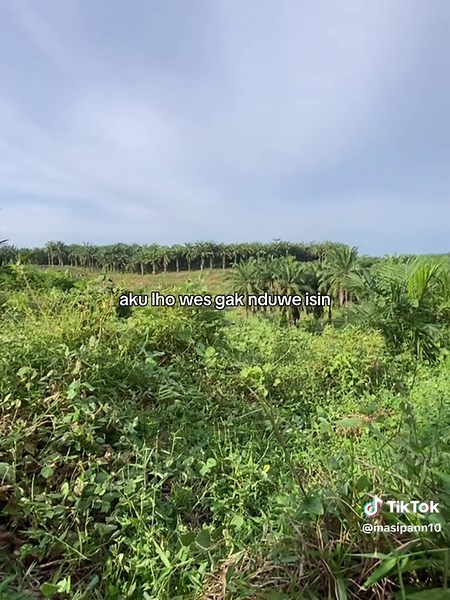 Story of Indonesian Cattle Farmers and Their Journey