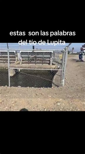 isabel (@isabel_gb831)’s video of lupita zuniga ontiveros