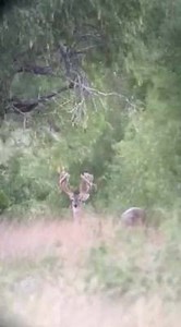 21K views · 405 reactions | Priority Outfitting Service on Reels | Facebook