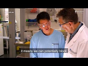 Researchers capture 'key' to deadly malaria infection