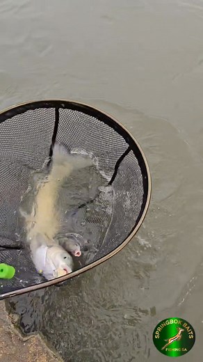 Anglers River Lodge bly maar net n fantastiese plek. Vir enige Besprekings kontak Braam 0835604159 | Anglers River Lodge