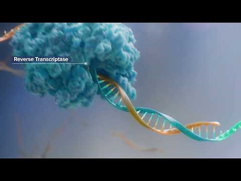 Inside Aptima assays: An overview of TMA and Real-Time TMA 2022