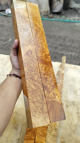 Joko Susanto Exotic. on TikTok