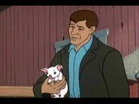 Youtube Poop - The Even Shorter Tale Of Charlotte's Web