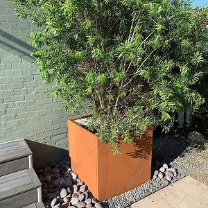 [Hot Item] Outdoor Rust Color Planters Box Planter Garden Corten Steel Flower Pot