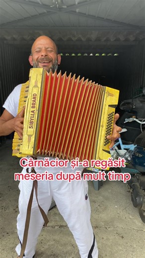 Meseria lui de bază @@Fernando_Srj @Maik.coxx @sammy_johnny_ @Narcis.s7 @Marku 🦍🏴‍☠️ @Mariobanu15 @marianspo @Andrei_kiam @♛ MOISE CDY ♛ @alessio_alexander_08 #fyppppppppppppppppppppppp #foryoupage❤️❤️ #stefan #hairstyle #stemdrop001