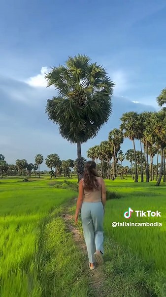 Exploring the Beauty of the Cambodian Countryside