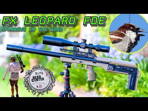 Hunting in the wind | FX Leopard FDE | JTS Pellets 18.1gr | Farmyard Pest Control