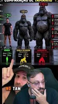 The biggest gorilla that ever lived #biologohenrique #animals #smartanimal #biologist