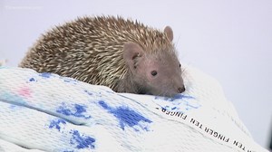 Newport News/Williamsburg Airport opens free cell phone parking lot