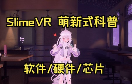 SlimeVR 萌新科普指南